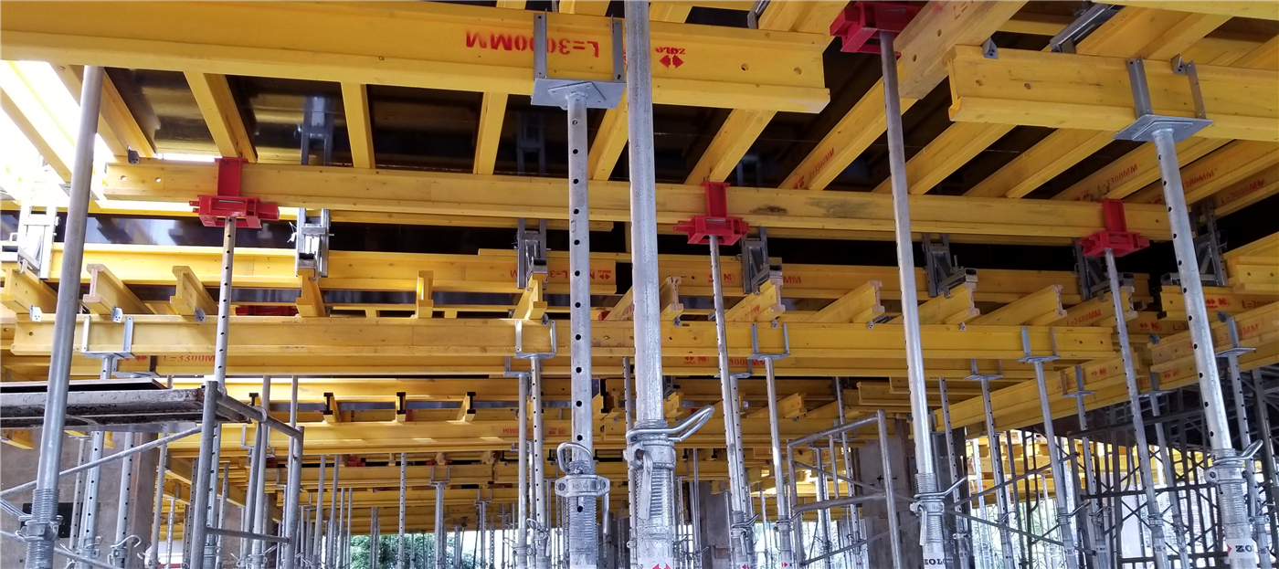 Srilanka Colombo NA Business Center Project use Zolo ZFlex20 Table Form System